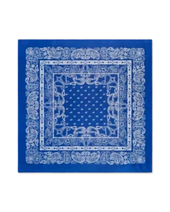 Bandana - Midnight Paisley