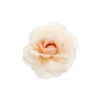 Barrette - Peach Blossom