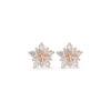 Boucles d'oreilles - Little Rosé Star