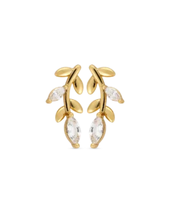 Boucles d'oreilles - Winning Leaf