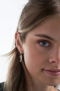 Boucles d’oreilles - Zirconia Leaves