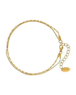 Bracelet de cheville - Glossy Steel
