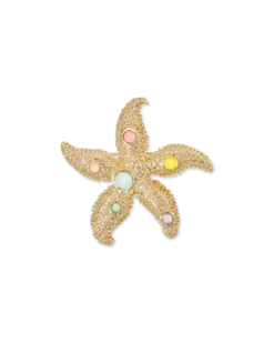 Broche - Maritime Star