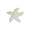 Broche - Metal Star