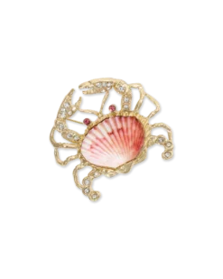 Broche - Perfekt Shell