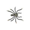 Broche - Spooky Sparkle