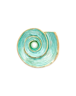 Broche - Turquoise Shell