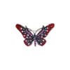 Broche - Vibrant Wings