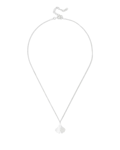 Chaîne - Ginkgo