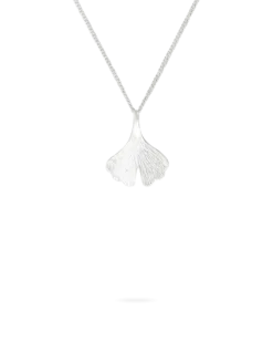 Chaîne - Ginkgo