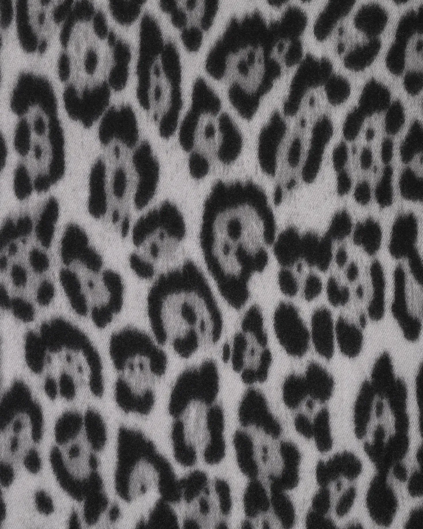 Écharpe - Grey Leo