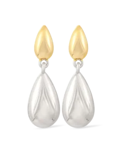 Clous d'oreilles - Bicolor Wonder