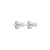 Clous d'oreilles - Clean Silver