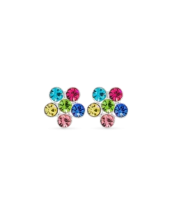 Clous d'oreilles - Colorful Flower
