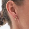 Clous d'oreilles - Cute Shine