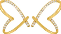 Clous d'oreilles - Extraordinary Hearts