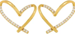 Clous d'oreilles - Extraordinary Hearts