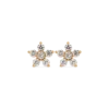 Clous d'oreilles - Floral Gleam