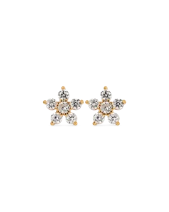 Clous d'oreilles - Floral Gleam