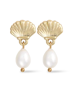 Clous d'oreilles - Glossy Shell