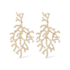 Clous d'oreilles - Golden Coral
