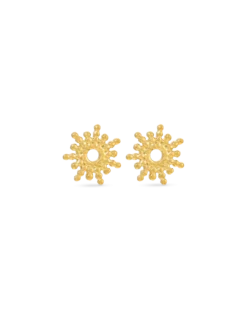 Clous d'oreilles - Golden Sun