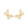 Clous d'oreilles - Graceful Shine