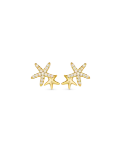 Clous d'oreilles - Ocean Star