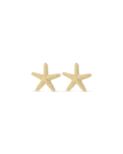Clous d'oreilles - Ocean Treasures