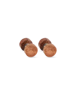 Clous d'oreilles pour homme - Wood Circle