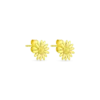 Clous d'oreilles- Radiant Flower