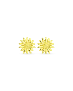 Clous d'oreilles- Radiant Flower