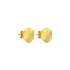 Clous d'oreilles - Radiant Plates
