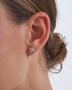 Clous d'oreilles - Silver Iceflower