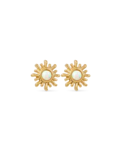 Clous d'oreilles - Snazzy Sun