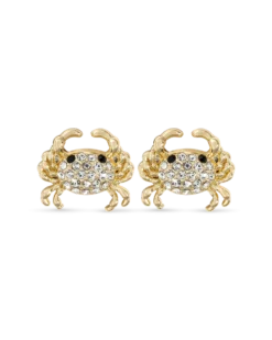 Clous d'oreilles - Sparkling Claws