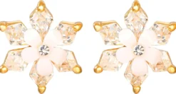 Clous d'oreilles - Stunning Shine