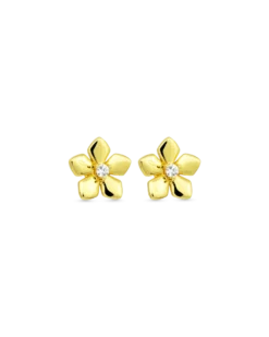 Clous d'oreilles - Zirconia Blossom