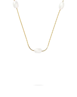 Collier - Beach Basic