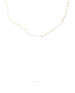 Collier - Real Shells