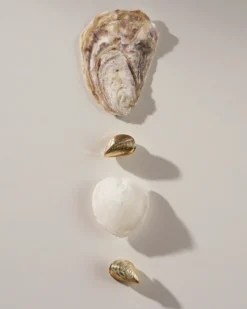 Créoles - Golden Shells