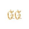 Créoles - Golden Spring