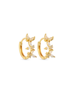 Créoles - Golden Spring