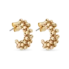 Créoles - Shiny Bubbles