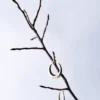 Créoles - Timeless Basic