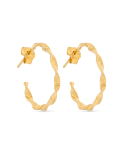 Créoles - Twisted Eyecatcher