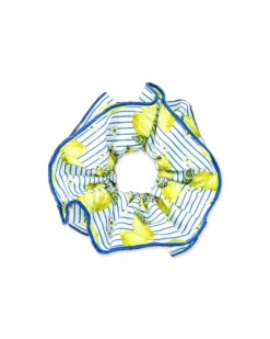 Elastique á cheveux - Fruity Lemon