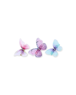 Ensemble de barrettes - Gleaming Dreams
