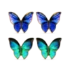 Ensemble de clous d'oreilles - Blue Wings