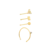 Ensemble de piercings - Golden Gleam